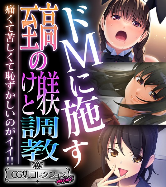 【無料 エロ漫画】ドMに施す至高の躾けと調教 〜痛くて苦しくて恥ずかしいのがイイ！！〜【CG集コレクション ミニ】 大人のSEXY絵本