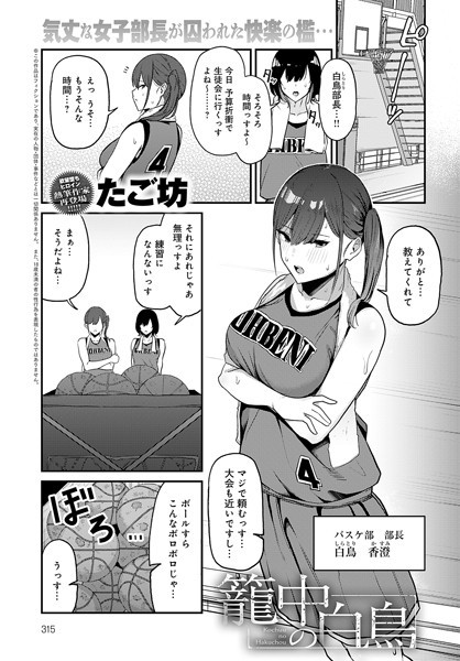 【無料 エロ漫画】籠中の白鳥 たご坊