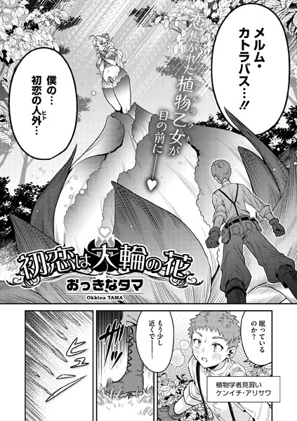 【無料 エロ漫画】初恋は大輪の花 おっきなタマ